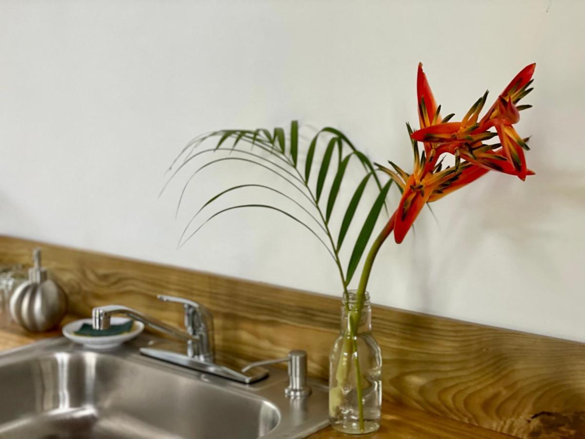 Casa Salvaje Vacation Rentals Бокас дел Торо Екстериор снимка