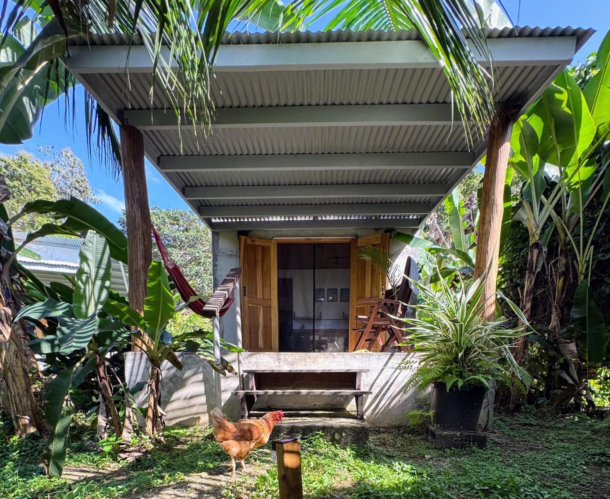Casa Salvaje Vacation Rentals Бокас дел Торо Екстериор снимка